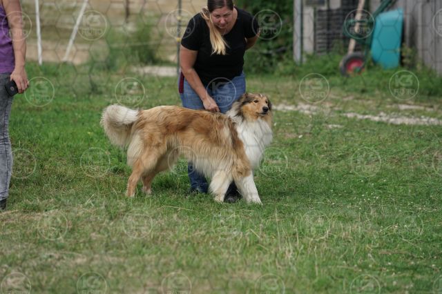s_K3F07199.JPG